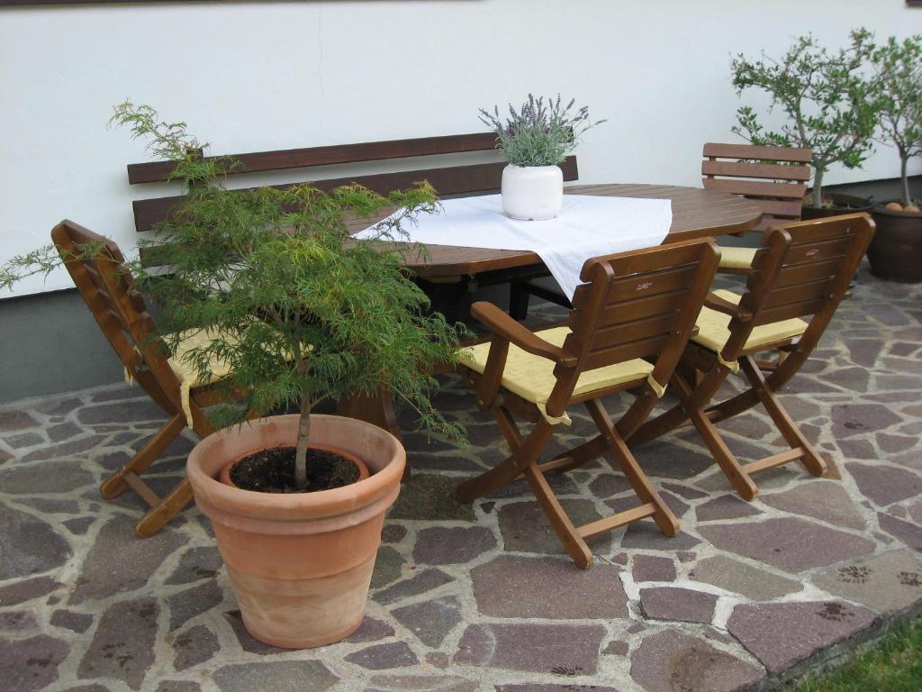 Appartements Falkner Dorli Ец Екстер'єр фото